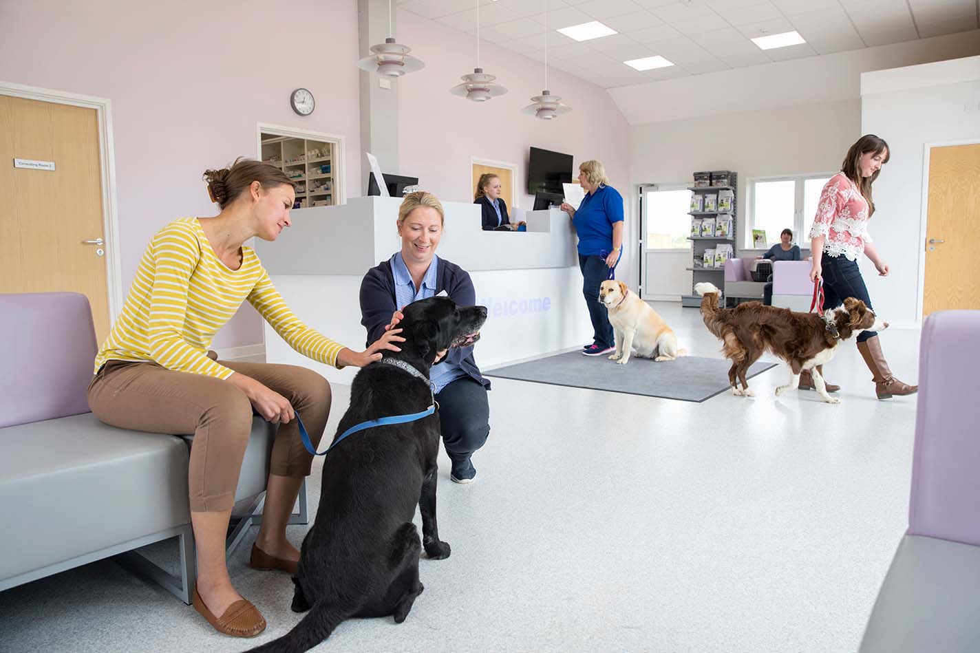 What Is An Emergency Lakeside Veterinary Hospital What Is An Emergency Lakeside Veterinary Hospital